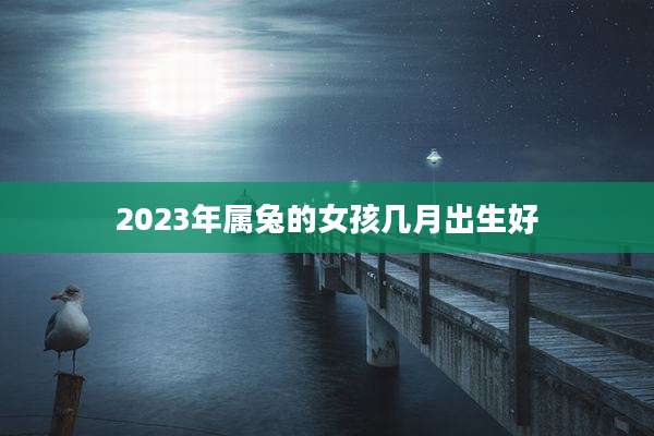 2023年属兔的女孩几月出生好
