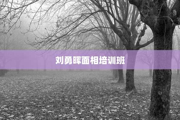 刘勇晖面相培训班