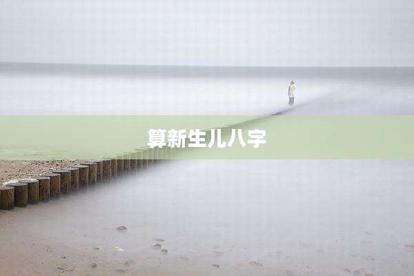 算新生儿八字