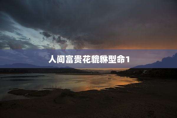 人间富贵花貔貅型命1