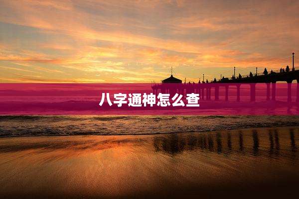 八字通神怎么查