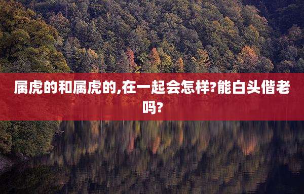 属虎的和属虎的,在一起会怎样?能白头偕老吗?