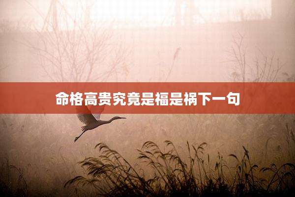 命格高贵究竟是福是祸下一句