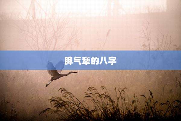 脾气犟的八字