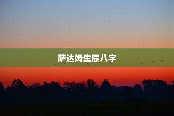 萨达姆生辰八字