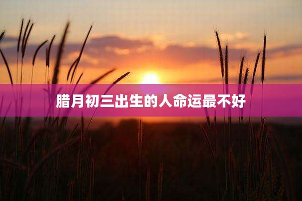 腊月初三出生的人命运最不好