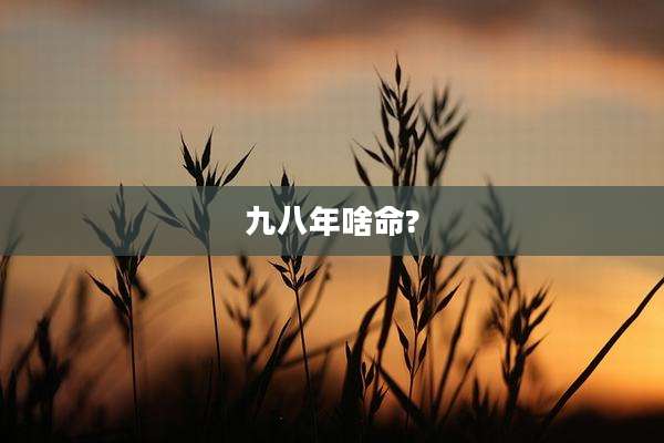 九八年啥命?
