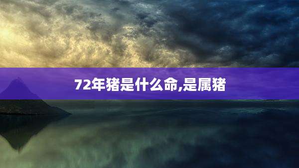 72年猪是什么命,是属猪