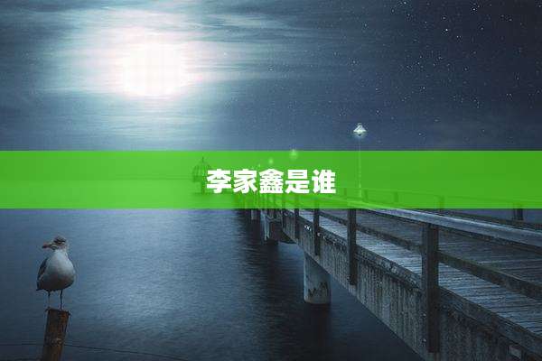李家鑫是谁