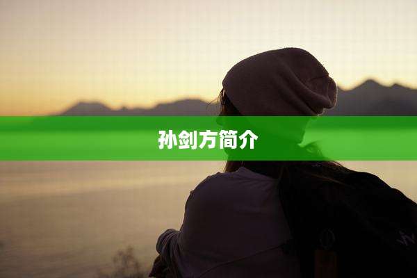 孙剑方简介