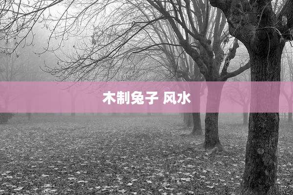 木制兔子 风水
