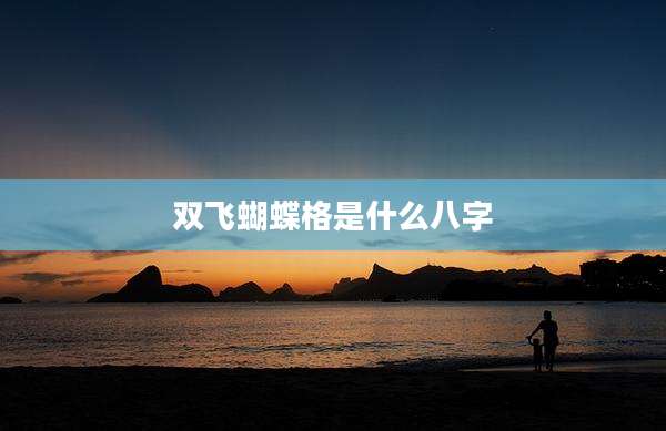 双飞蝴蝶格是什么八字