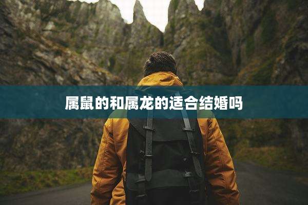 属鼠的和属龙的适合结婚吗