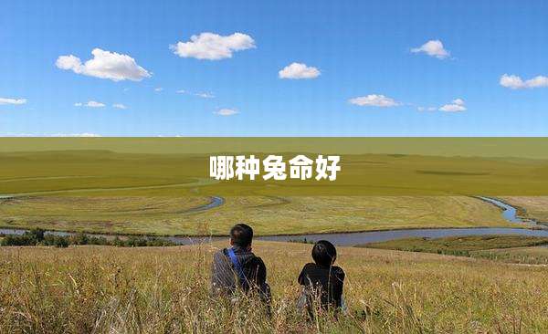 哪种兔命好