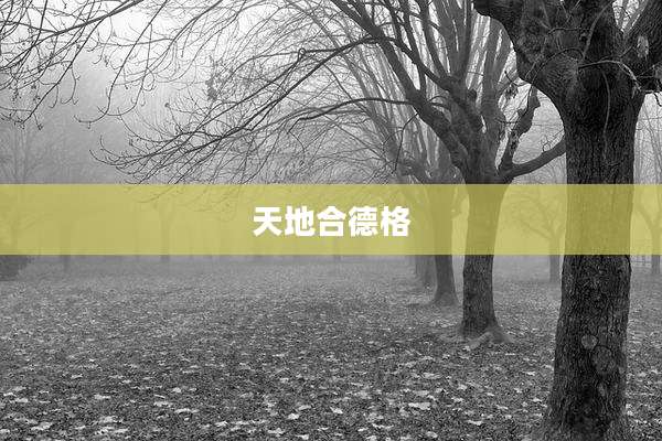 天地合德格