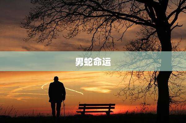 男蛇命运