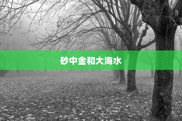 砂中金和大海水