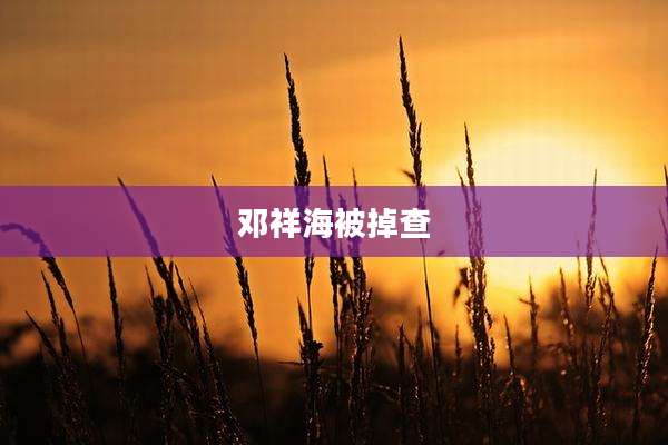 邓祥海被掉查