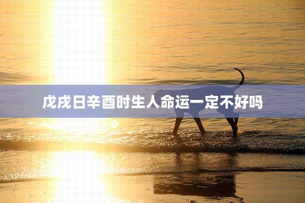 戊戌日辛酉时生人命运一定不好吗