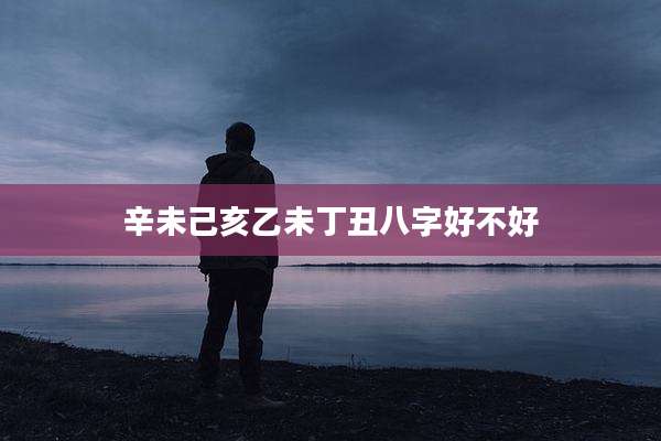 辛未己亥乙未丁丑八字好不好