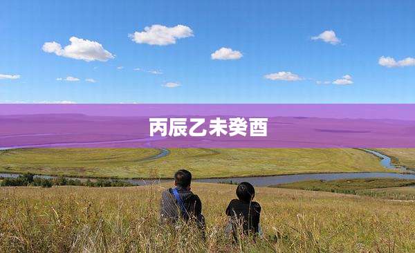 丙辰乙未癸酉