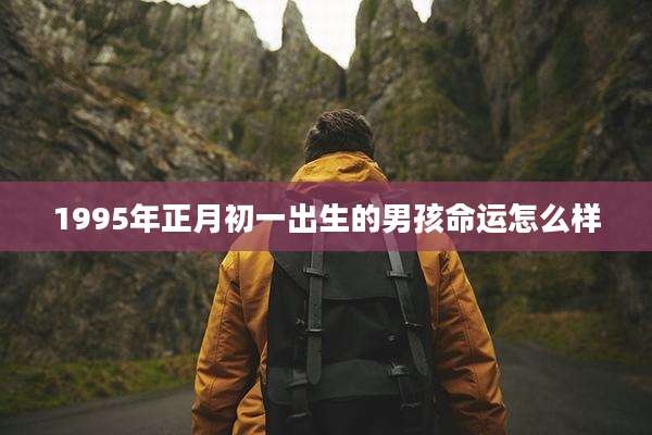 1995年正月初一出生的男孩命运怎么样