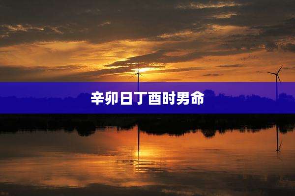 辛卯日丁酉时男命