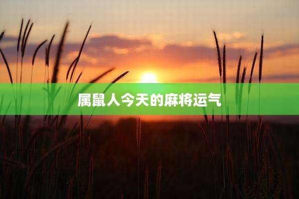 属鼠人今天的麻将运气