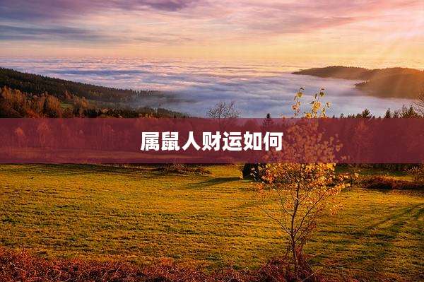 属鼠人财运如何