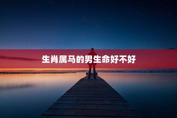 生肖属马的男生命好不好