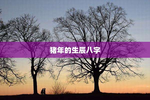 猪年的生辰八字