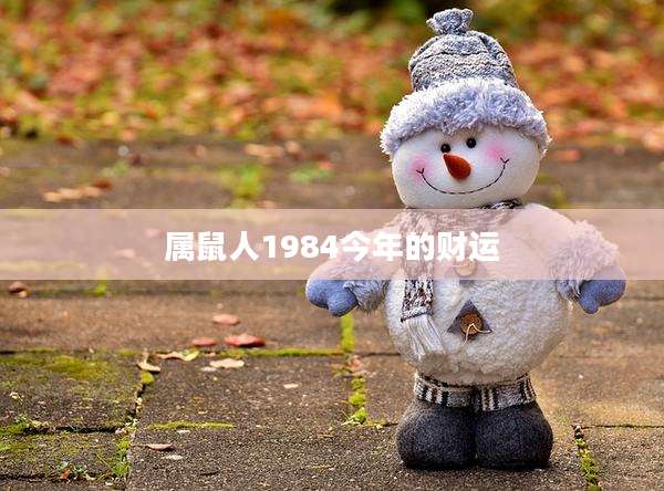 属鼠人1984今年的财运