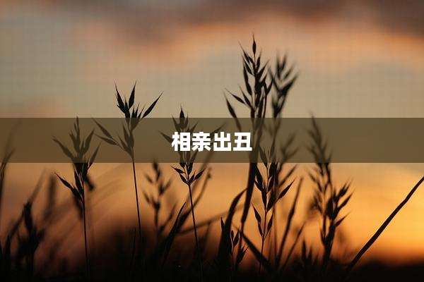 相亲出丑