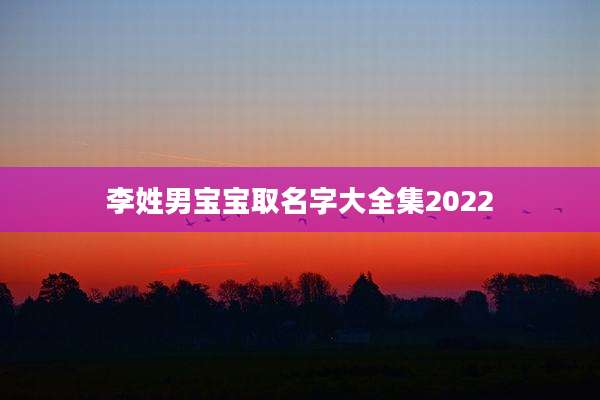 李姓男宝宝取名字大全集2022