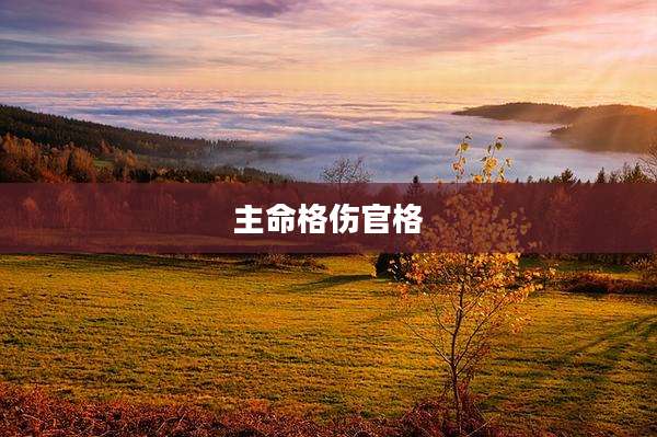 主命格伤官格