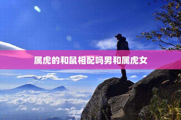 属虎的和鼠相配吗男和属虎女
