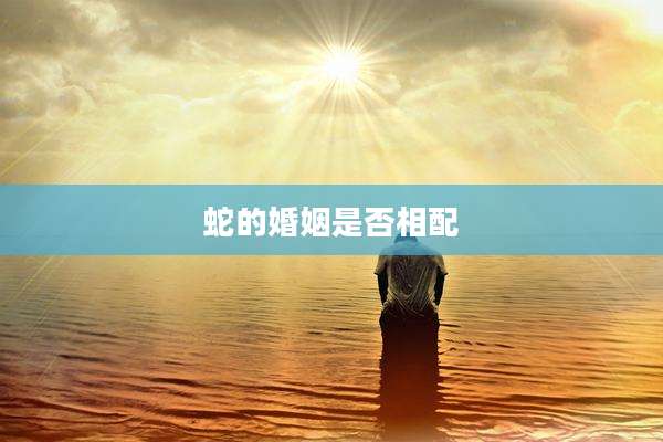 蛇的婚姻是否相配