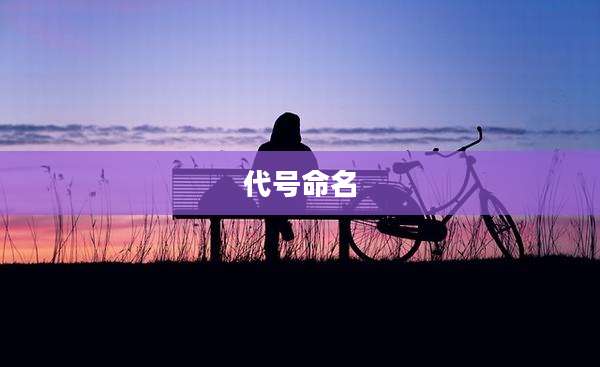 代号命名