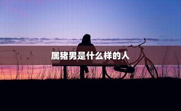 属猪男是什么样的人