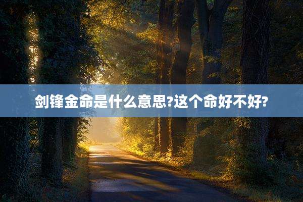 剑锋金命是什么意思?这个命好不好?