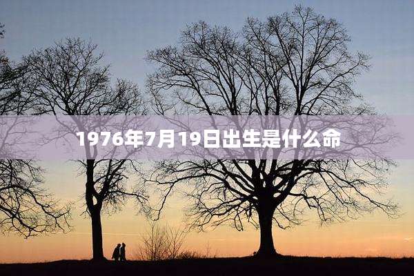 1976年7月19日出生是什么命