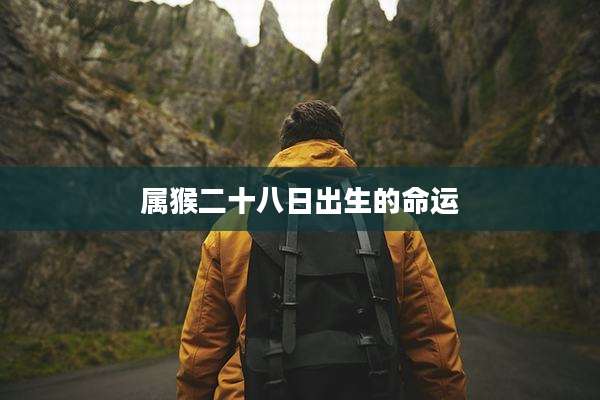 属猴二十八日出生的命运