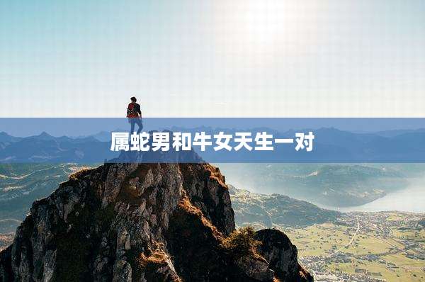 属蛇男和牛女天生一对
