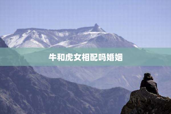 牛和虎女相配吗婚姻