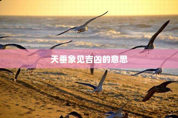 天垂象见吉凶的意思