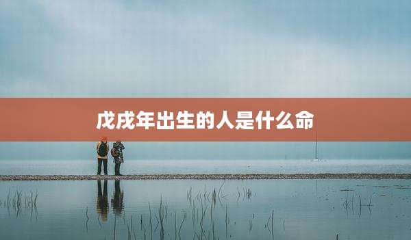 戊戌年出生的人是什么命