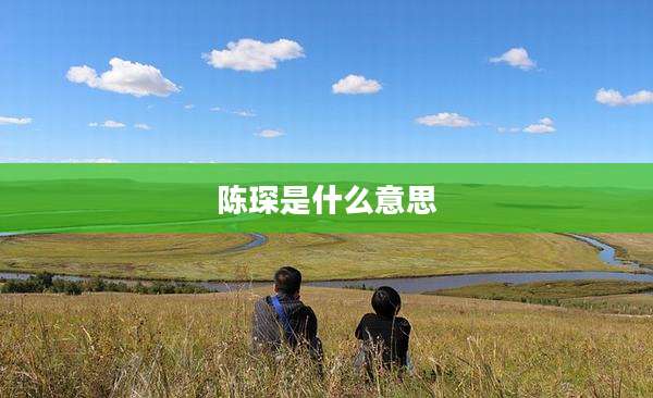 陈琛是什么意思