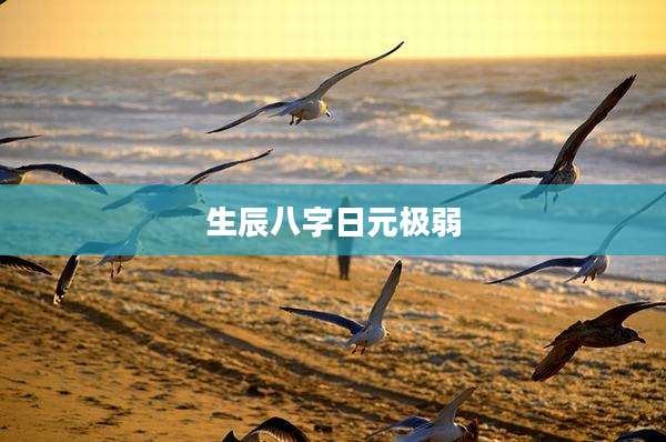 生辰八字日元极弱