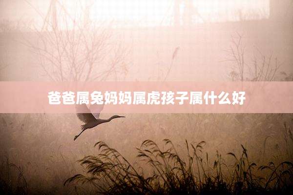 爸爸属兔妈妈属虎孩子属什么好