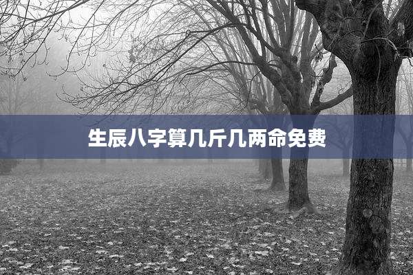 生辰八字算几斤几两命免费